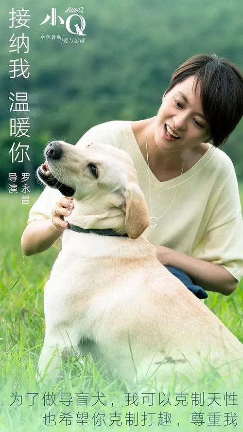 维尔道工程应用技术大学Hotelmanagementdiploma